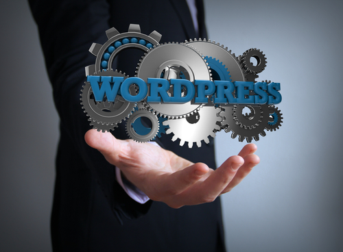 Wordpress vs. Custom Developed Content Managers - Calgary Web Development - eKzact Solutions Inc. 